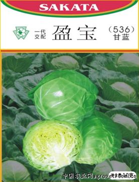 绿翡翠长豆角病虫害及防治
