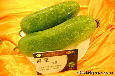 淮阳黄花菜多少钱一斤
