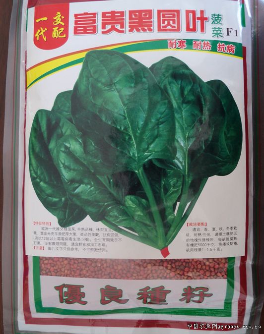 黄兴镇海吉星蔬菜市场