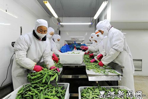 天津部分高价蔬菜价格降了一半