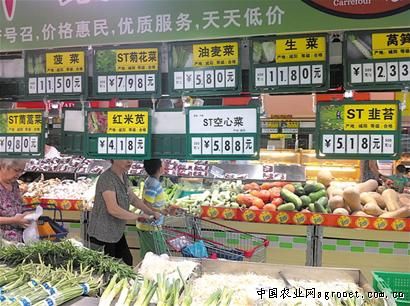 北京3号白菜白菜子