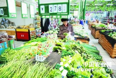 北京小杂60白菜价格行情