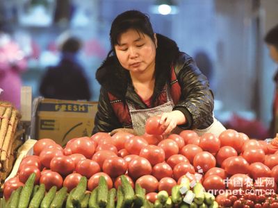 紫芦笋价格多少钱一斤