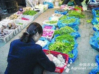 韩国七寸红胡萝卜批发市场