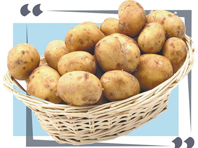 红薯薯育苗时间