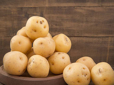 五彩薯红薯种植技术