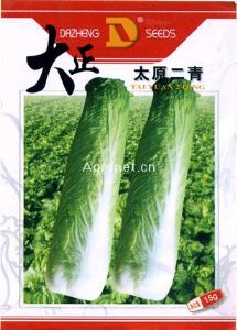 供应太原二青—白菜种子