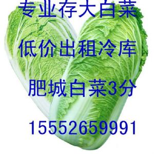 供应新北京三号大白菜4分