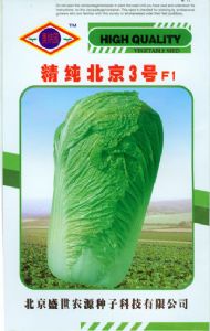 供应精纯北京3号—白菜种子
