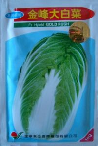 供应金峰——白菜种子