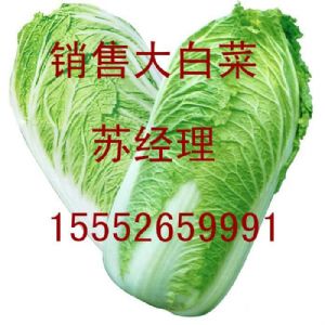 供应白菜0.42元/斤