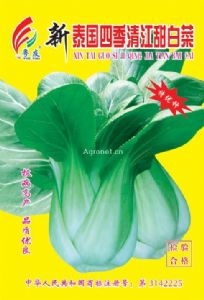供应新泰国四季清江甜——白菜种子