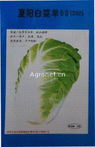供应日本抗热夏阳(302)—白菜种子