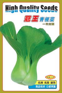 冠王青梗白菜-白菜种子
