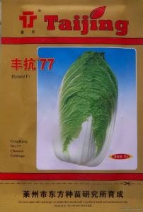 供应丰抗77—白菜种子