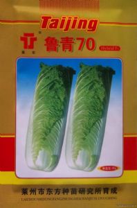 供应鲁青—白菜种子