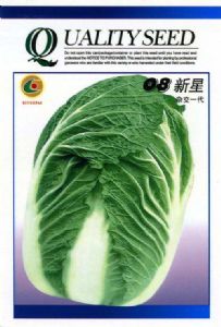 供应08新星(杂交一代)—白菜种子