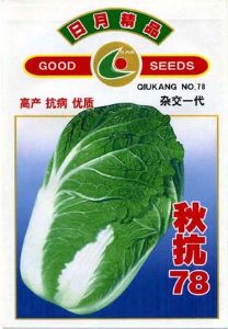 供应秋抗78 F1—白菜种子
