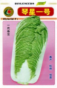 供应琴星一号(一代杂交)—白菜种子