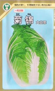 供应菊锦——白菜种子