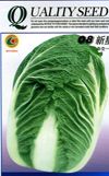 供应08新星(杂交一代)—白菜种子