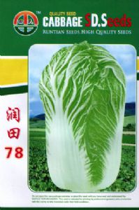 供应润田78—白菜种子