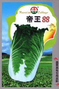 供应帝王88—白菜种子
