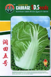 供应润田五号—白菜种子