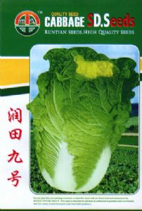 供应润田九号—白菜种子