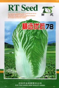 供应精选优抗78—白菜种子