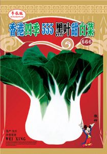 供应香港四季555黑叶甜白菜—白菜种子