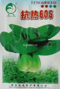 供应热605(凤起)—白菜种子