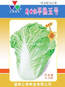 供应新世纪早熟5号—白菜种子