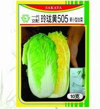 供应玲珑黄505—白菜种子