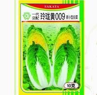 供应玲珑黄009—白菜种子