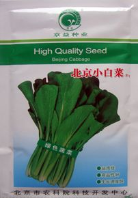 供应北京小白菜种子