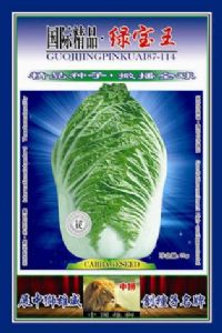 供应绿宝王—白菜种子