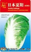 供应日本夏阳——白菜种子