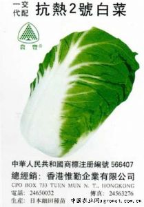 供应抗热2号白菜—白菜种子