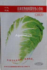 供应日本夏阳（303）——白菜类种子