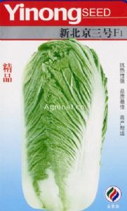 供应新北京三号--白菜种子