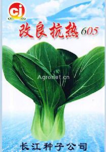 供应改良抗热605—青菜种子