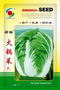 供应火锅菜—白菜种子