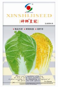 神狮皇冠—白菜种子