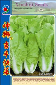 供应吉丰快菜—白菜种子