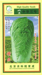 供应中华三号—白菜种子