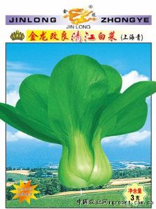 供应金龙改良清江白菜（上海青）—白菜种子