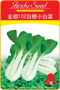 供应金都102白梗小白菜—白菜种子