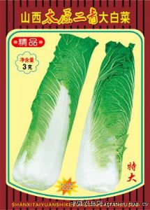 供应山西太原二青大白菜—白菜种子