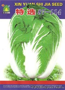 供应特选87-114——白菜种子